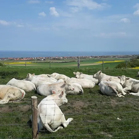 Hébergement de vacances Les Pieds Dans L'eau Maison Front De Pleine De Charme Cap Blanc Nez Côte D'opale Sangatte